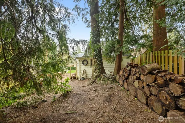 a view of a garden with plants