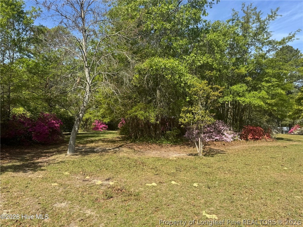 490 Springhill Church Road Hamlet, NC 28345 - Photo 40 of 49 Gallery Image 40