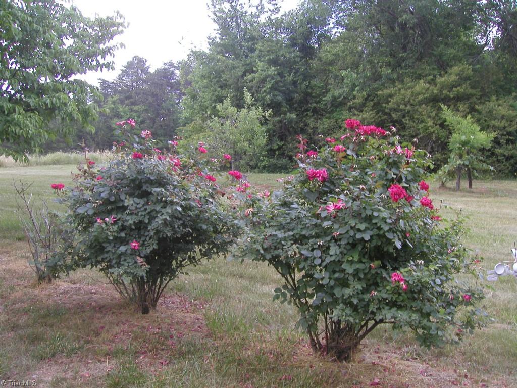 749 Cornatzer Road Mocksville, NC 27028 - Photo 10 of 26 Gallery Image 10