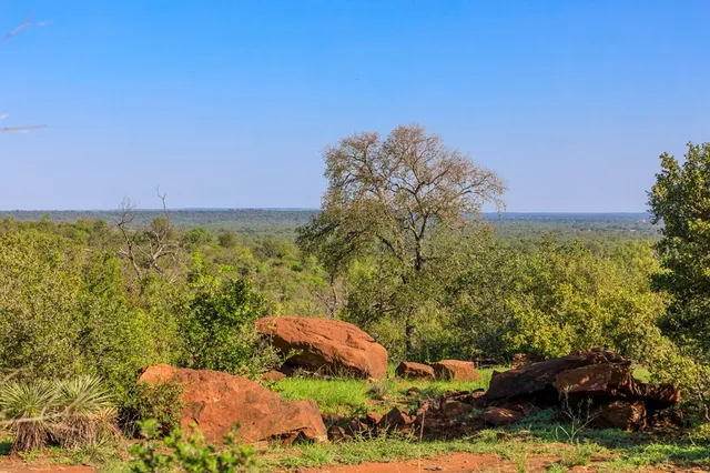 $250,000 | Lot 5 Art Hedwigs Hill Road, Unit 5, Mason, TX 76856