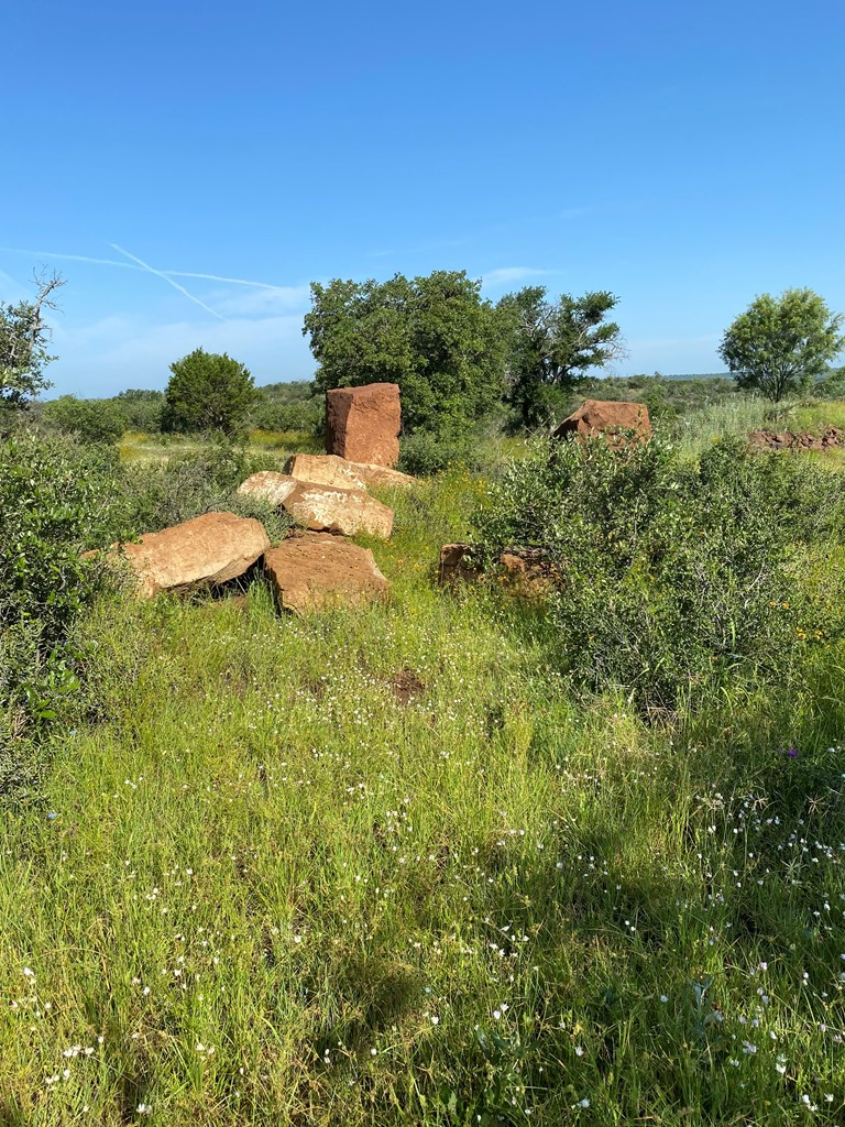 Lot 5 Art Hedwigs Hill Road, Unit 5 Mason, TX 76856 - Photo 9 of 9