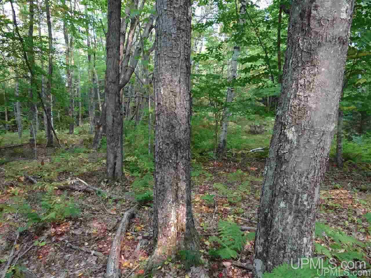 Tbd Freda Road, Unit PARCEL F Atlantic Mine, MI 49905 - Photo 11 of 12