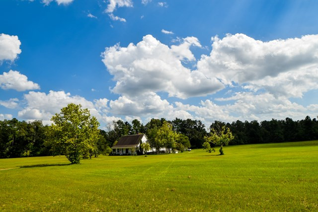 113 McVey Road Aiken, SC 29803 - Photo 6 of 39