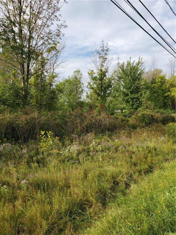 0 4th Section Road Sweden, NY 14420 - Photo 1 of 1