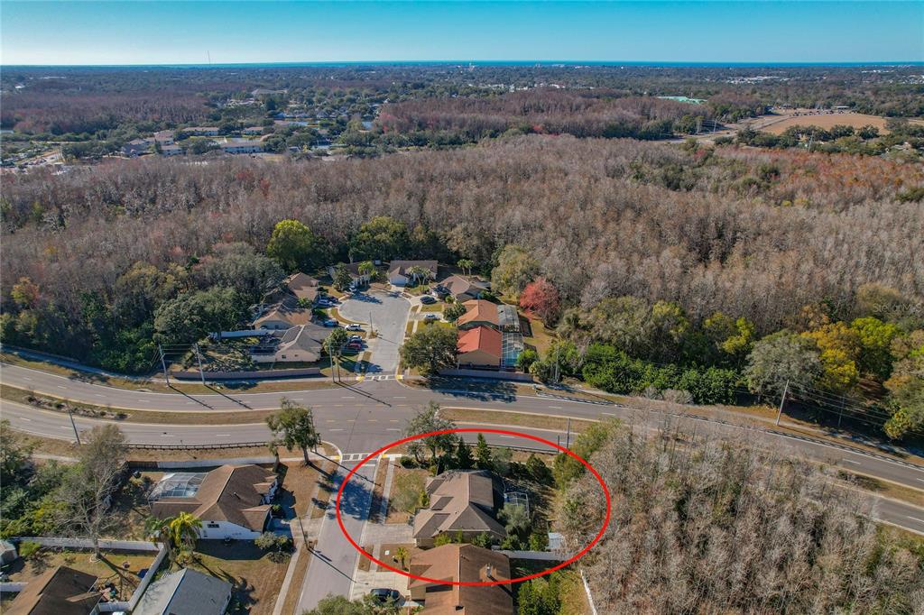 4874 Mill Run Drive New Port Richey, FL 34653 - Photo 29 of 34