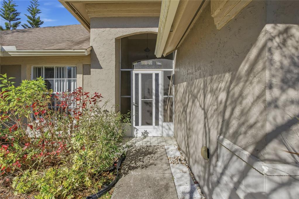 4874 Mill Run Drive New Port Richey, FL 34653 - Photo 3 of 34