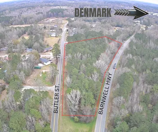 $35,000 | Tbd Barnwell Highway, Denmark, SC 29042