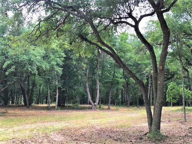 3 Old Dibble Road Aiken, SC 29803 - Photo 3 of 9