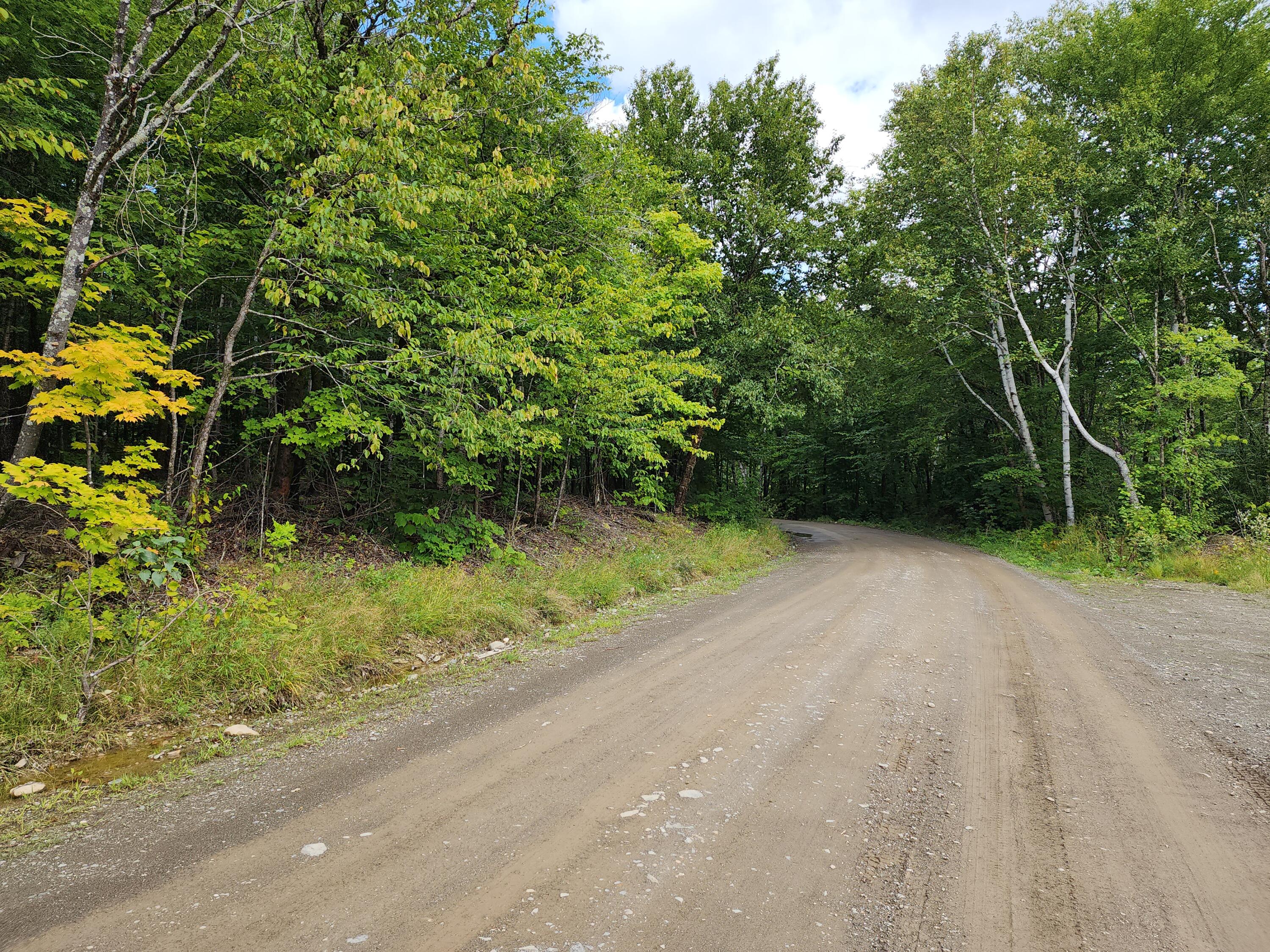 11 South Shore Road Island Falls, ME 04747 - Photo 8 of 14 20230826_131327