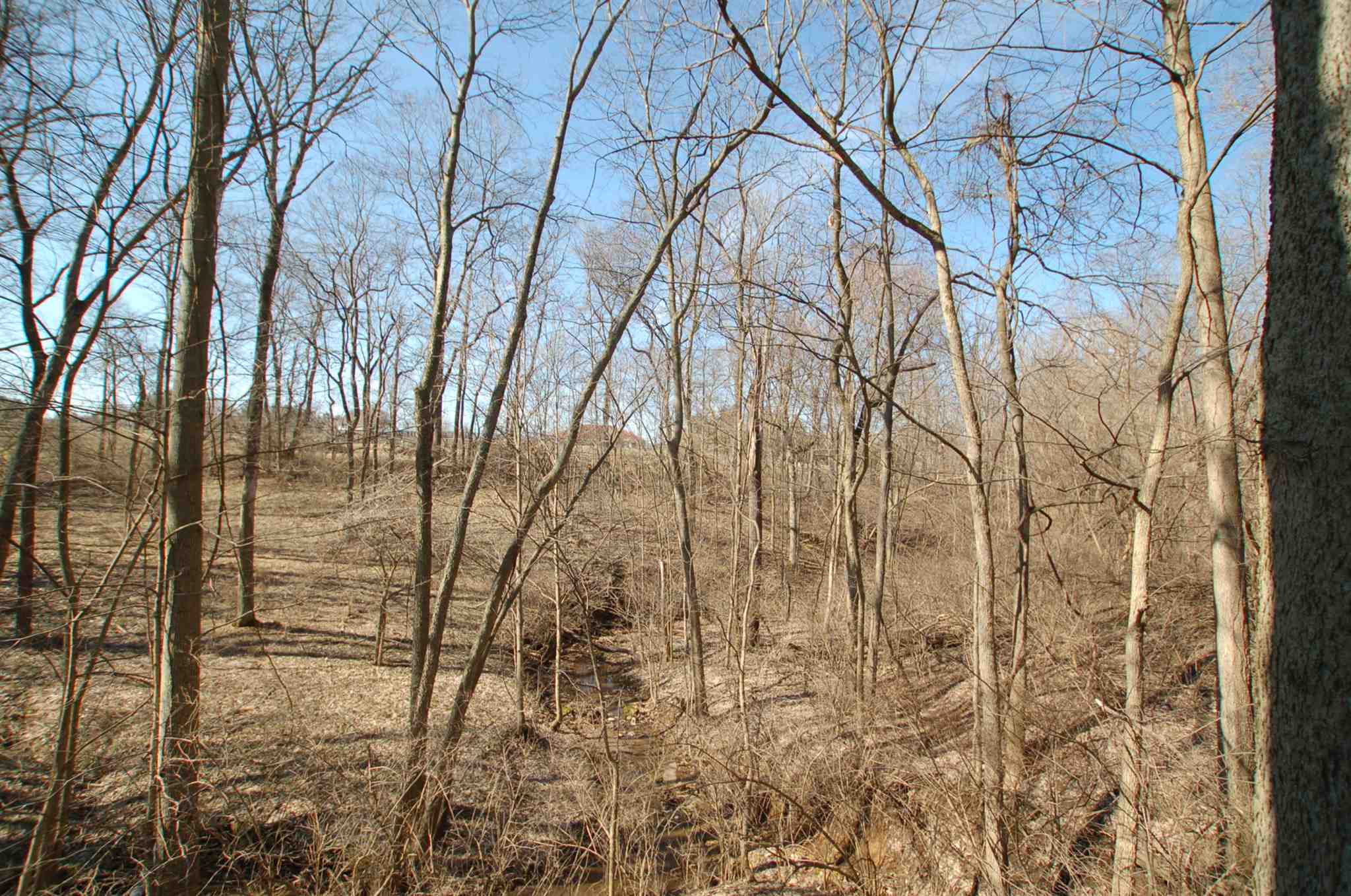 2055 North Russell Road Bloomington, IN 47408 - Photo 6 of 8