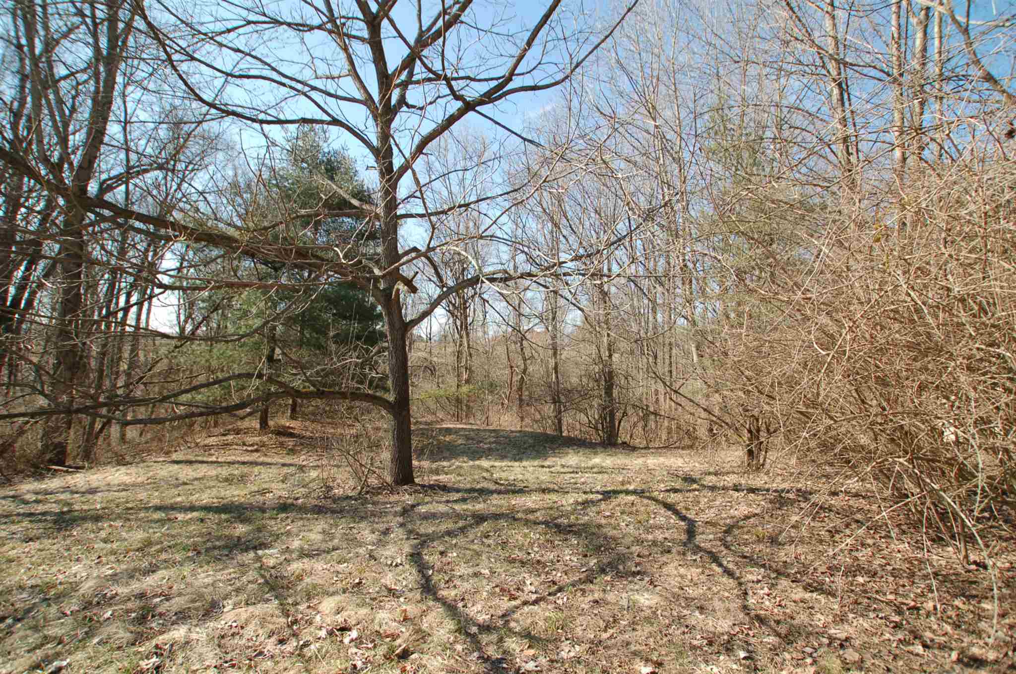 2055 North Russell Road Bloomington, IN 47408 - Photo 8 of 8