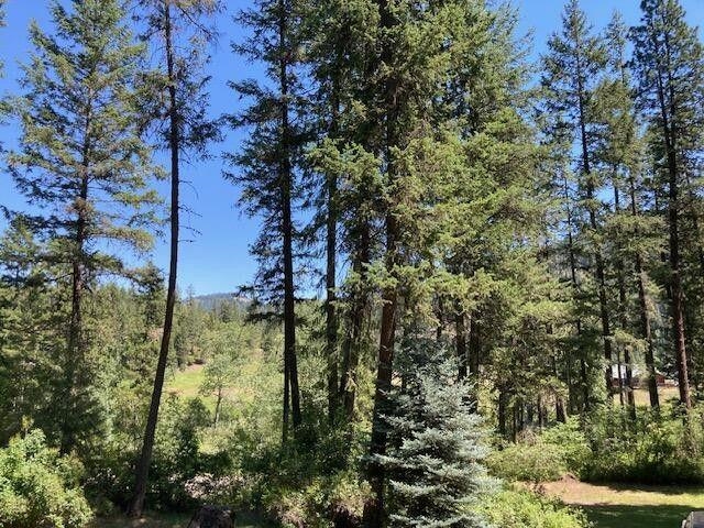 3023 Orient Cutoff Road Kettle Falls, WA 99141 - Photo 36 of 43 Gallery Image 36