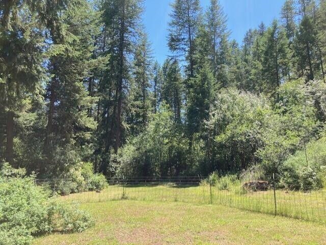 3023 Orient Cutoff Road Kettle Falls, WA 99141 - Photo 38 of 43 Gallery Image 38
