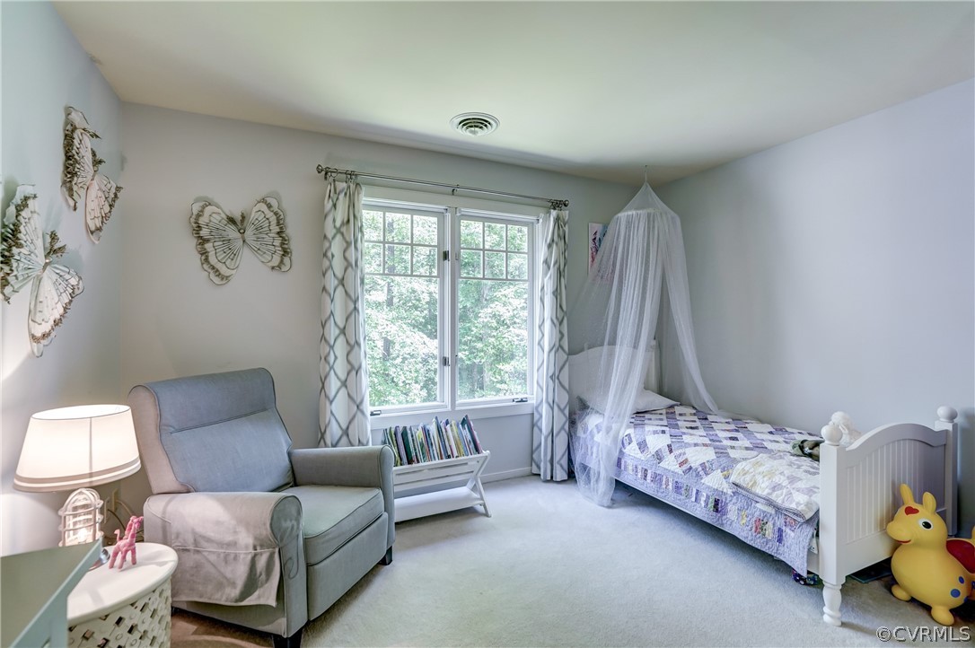 13709 Winterberry Ridge Midlothian, VA 23112 - Photo 37 of 50