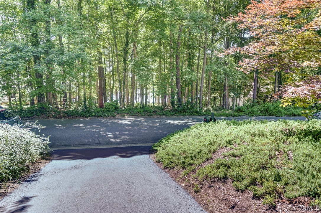 13709 Winterberry Ridge Midlothian, VA 23112 - Photo 6 of 50