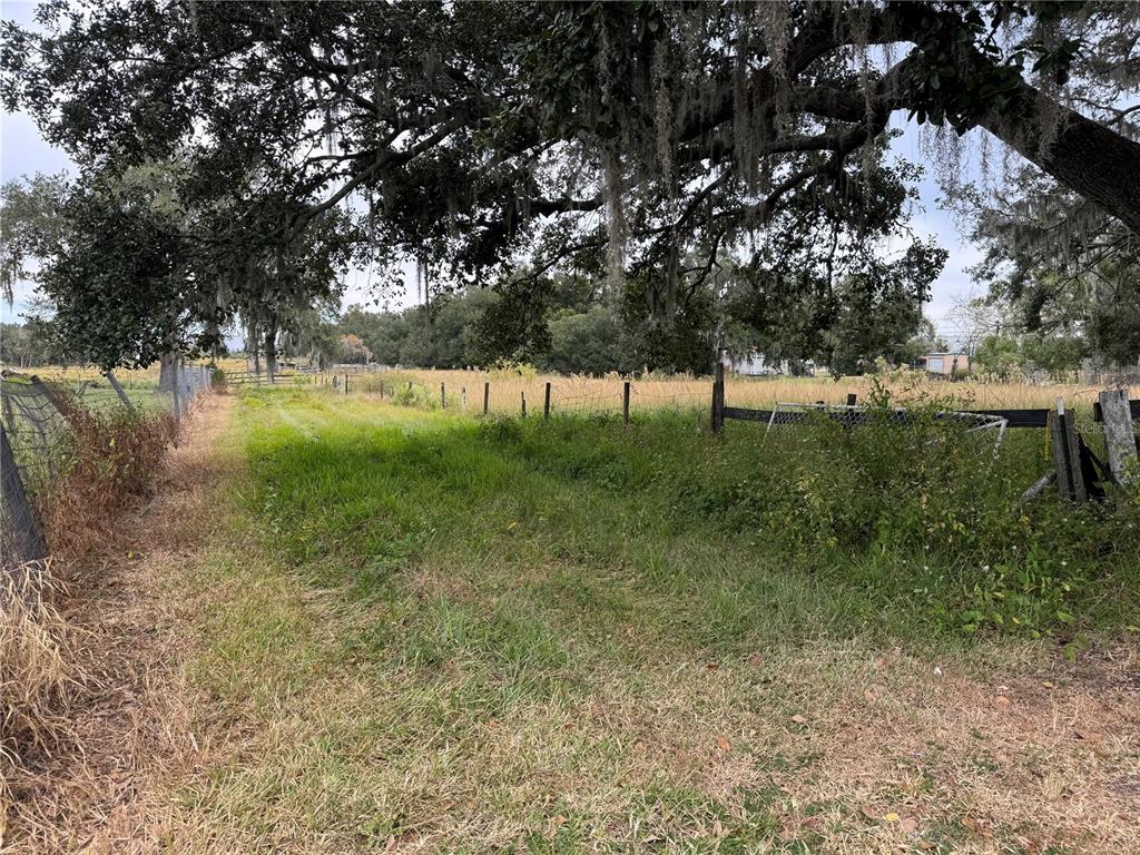 0 Cason Road Plant City, FL 33566 - Photo 2 of 11 Gallery Image 2
