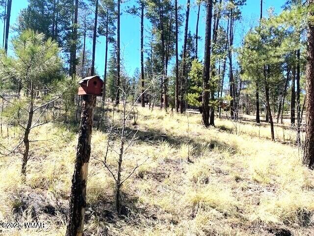 0 County Road 2191 Alpine, AZ 85920 - Photo 1 of 3 20230517183118016580000000-o
