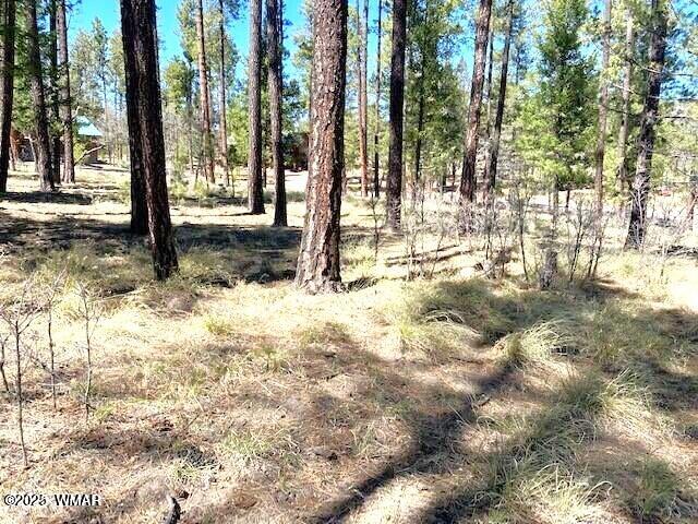 0 County Road 2191 Alpine, AZ 85920 - Photo 2 of 3 20230517183118176581000000-1