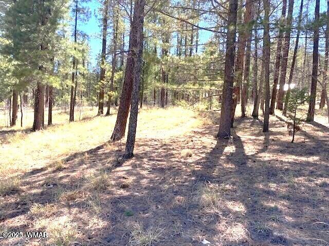 0 County Road 2191 Alpine, AZ 85920 - Photo 3 of 3 20230517183118321079000000-2
