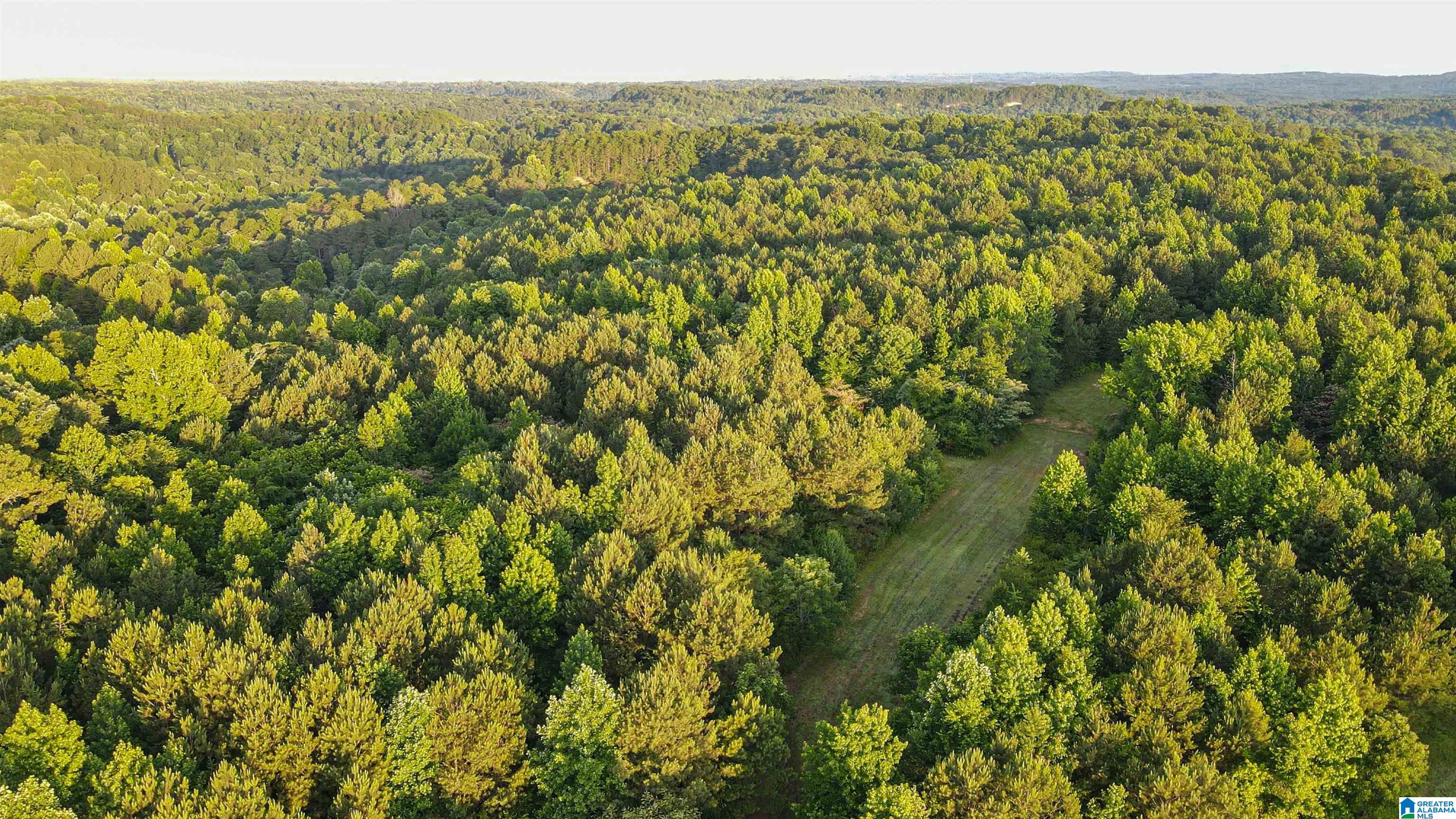 2211 Gurley Road, Unit 1 Trafford, AL 35172 - Photo 21 of 39