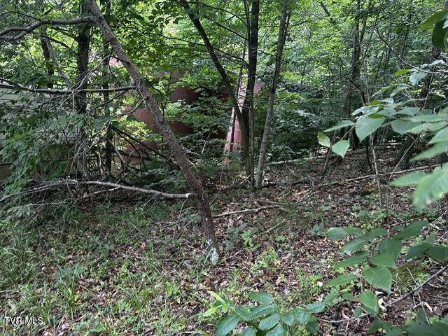 230 Ridge Road Weber City, VA 24290 - Photo 18 of 46 IMG_0609