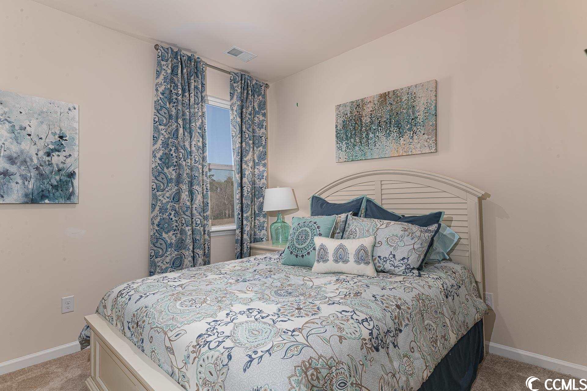 323 Gringott Lane Longs, SC 29568 - Photo 23 of 29