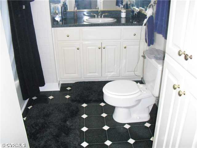3929 Belspring Road Chester, VA 23831 - Photo 7 of 12 Master Bath