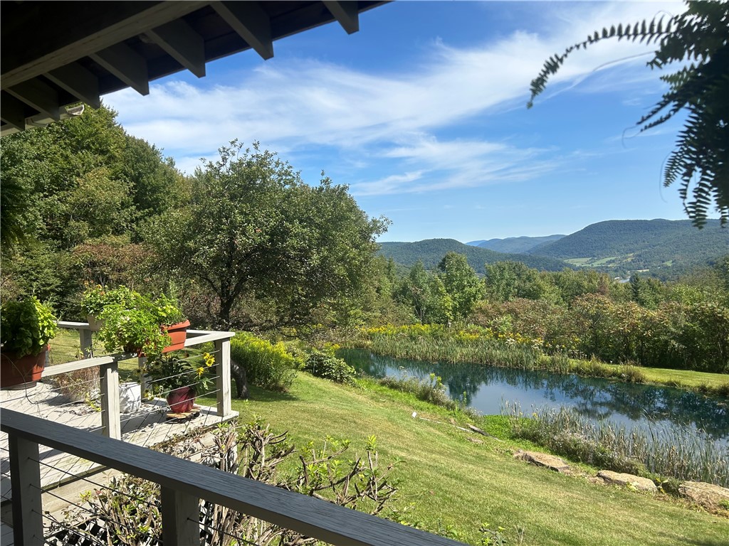 258 Braymer Lane Delhi, NY 13753 - Photo 11 of 39