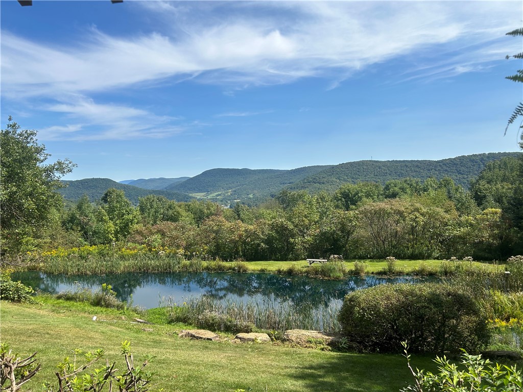 258 Braymer Lane Delhi, NY 13753 - Photo 5 of 39