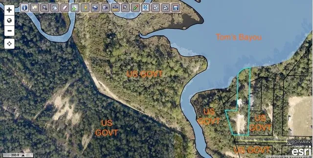 a view of a big yard with plants and large trees