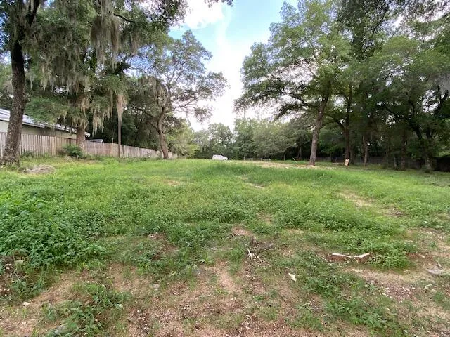 a view of a garden with trees