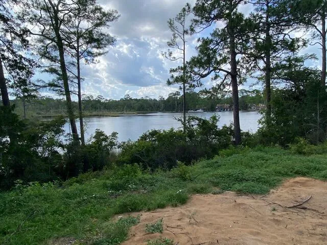 a view of lake from a tree