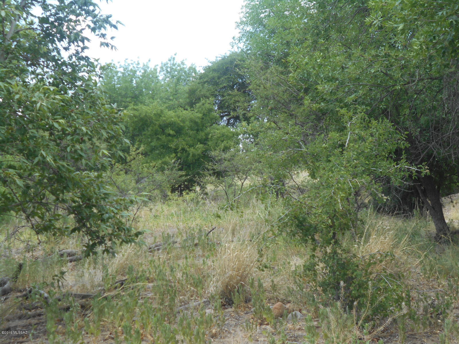 East Walnut Trail Pearce, AZ 85625 - Photo 21 of 47