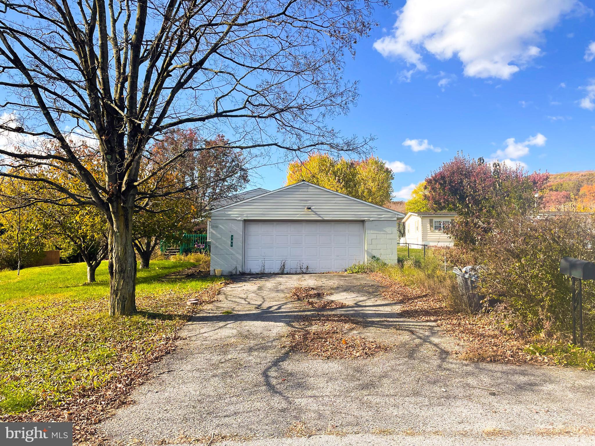 a view of a yard with a large tree