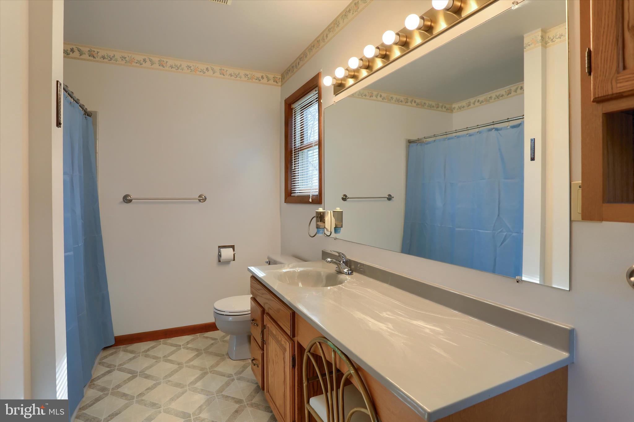 149 Stone Mountain Road Pine Grove, PA 17963 - Photo 32 of 64 a bathroom with a sink a toilet and a mirror