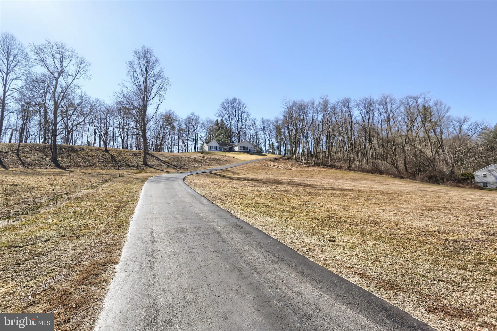 149 Stone Mountain Road Pine Grove, PA 17963 - Photo 62 of 64 a view of a yard with trees