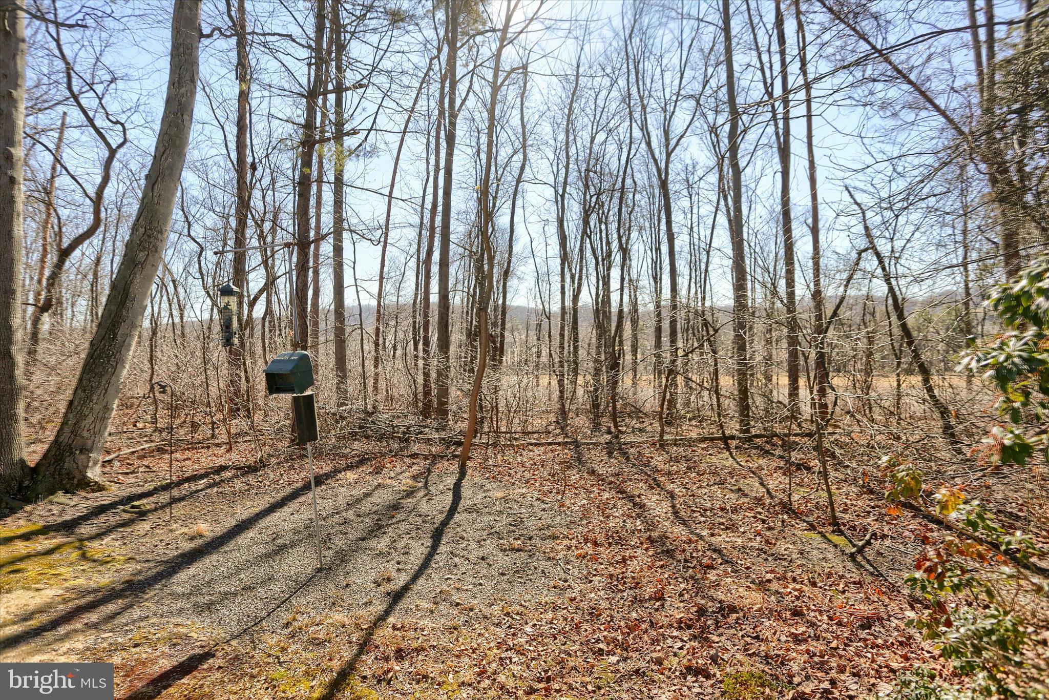 149 Stone Mountain Road Pine Grove, PA 17963 - Photo 63 of 64 a view of a backyard