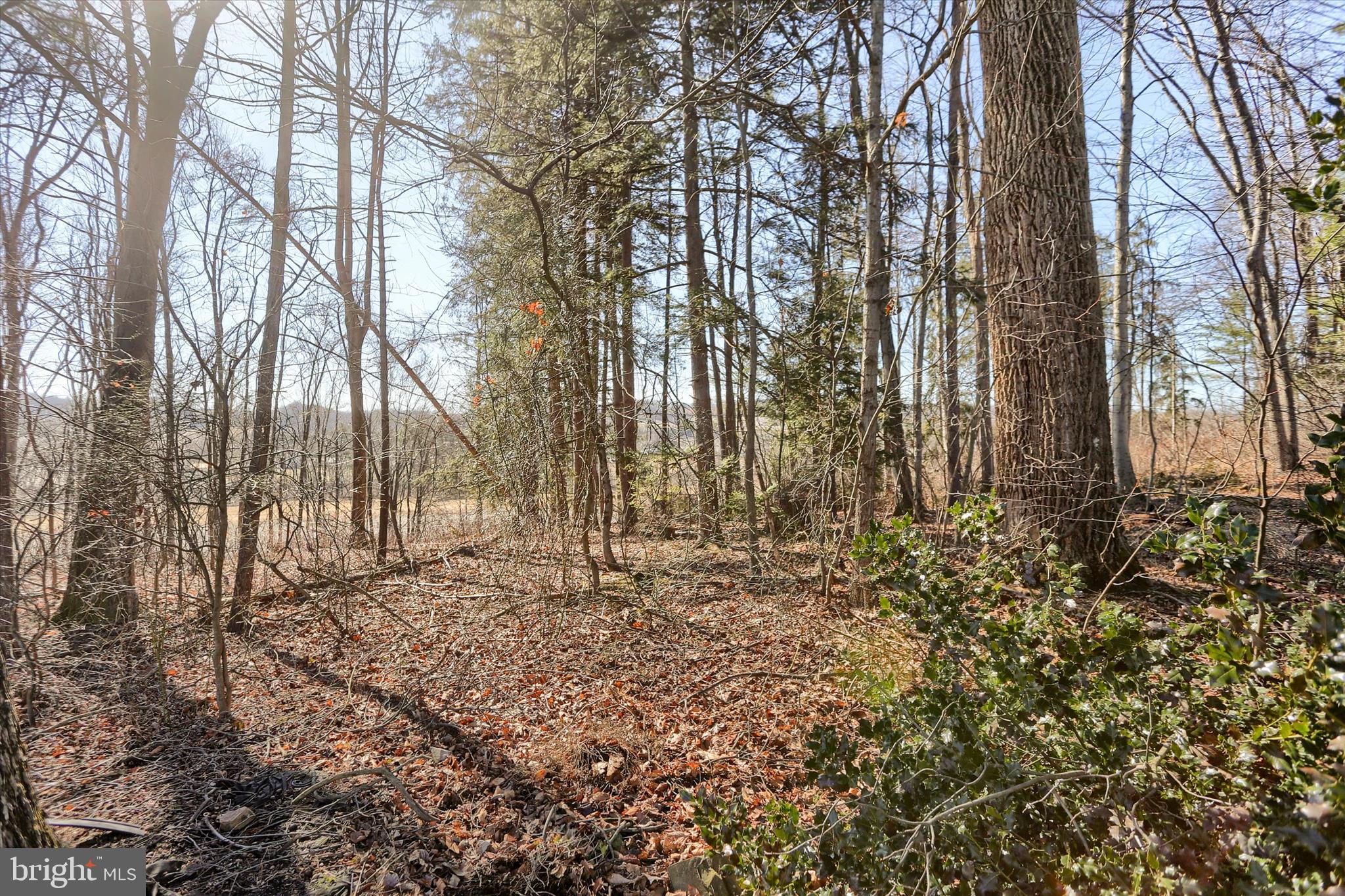 149 Stone Mountain Road Pine Grove, PA 17963 - Photo 64 of 64