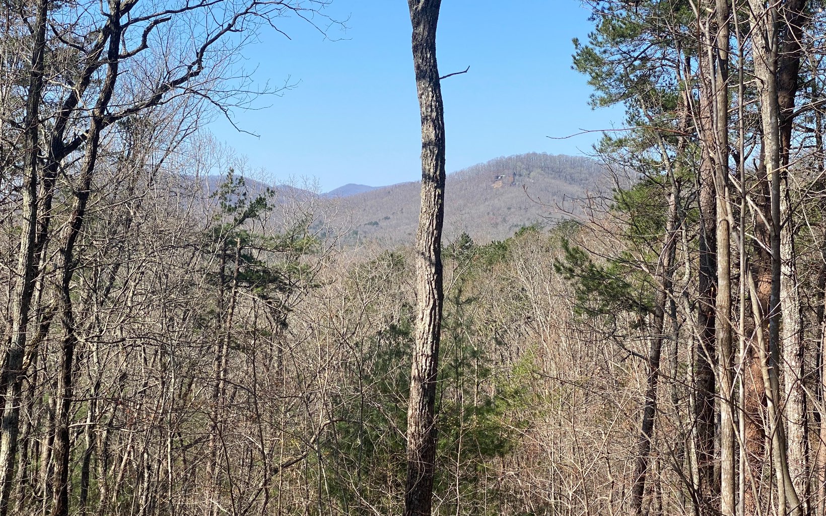 Main View