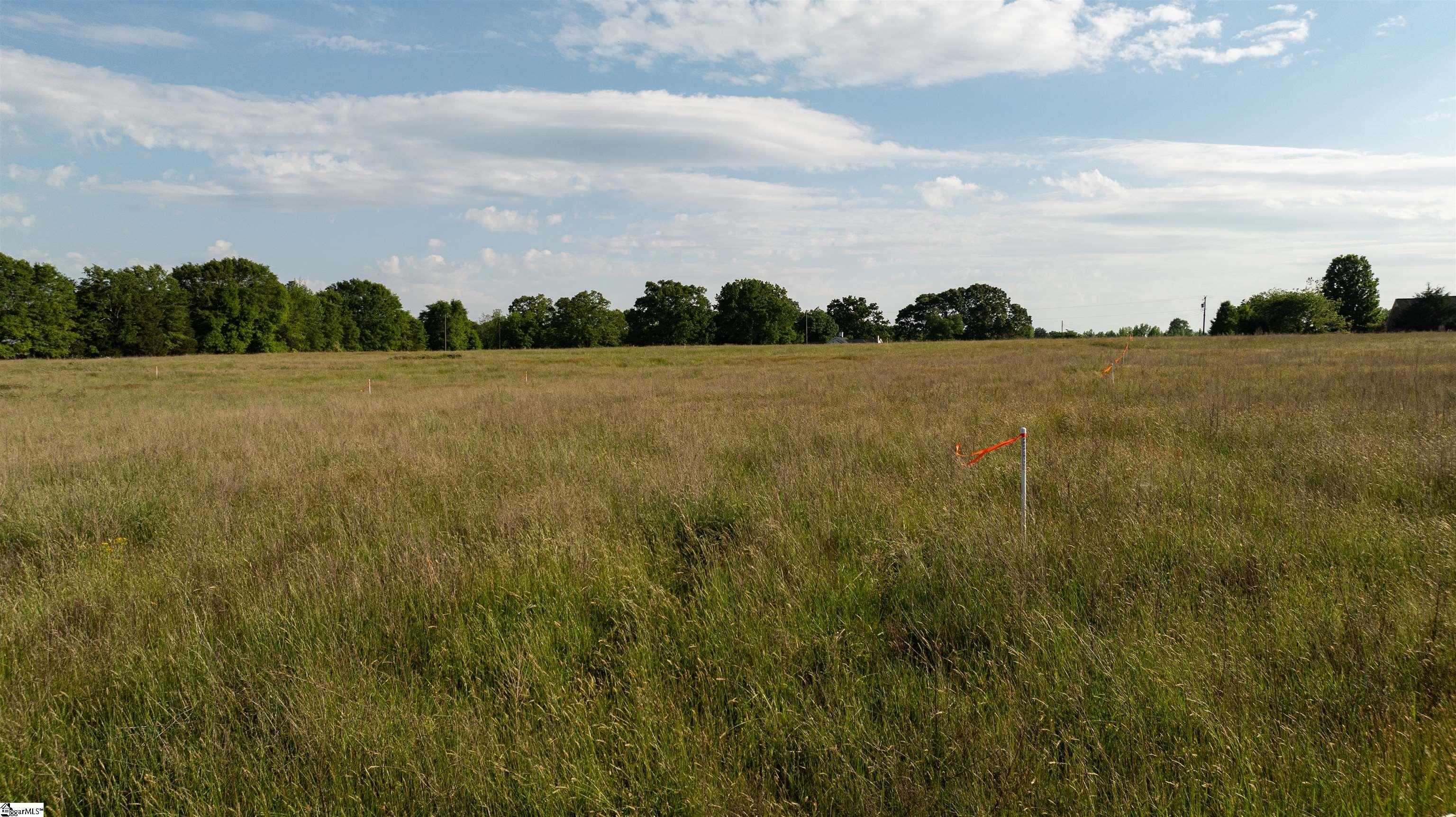 2B Shady Grove Road Honea Path, SC 29654 - Photo 10 of 11