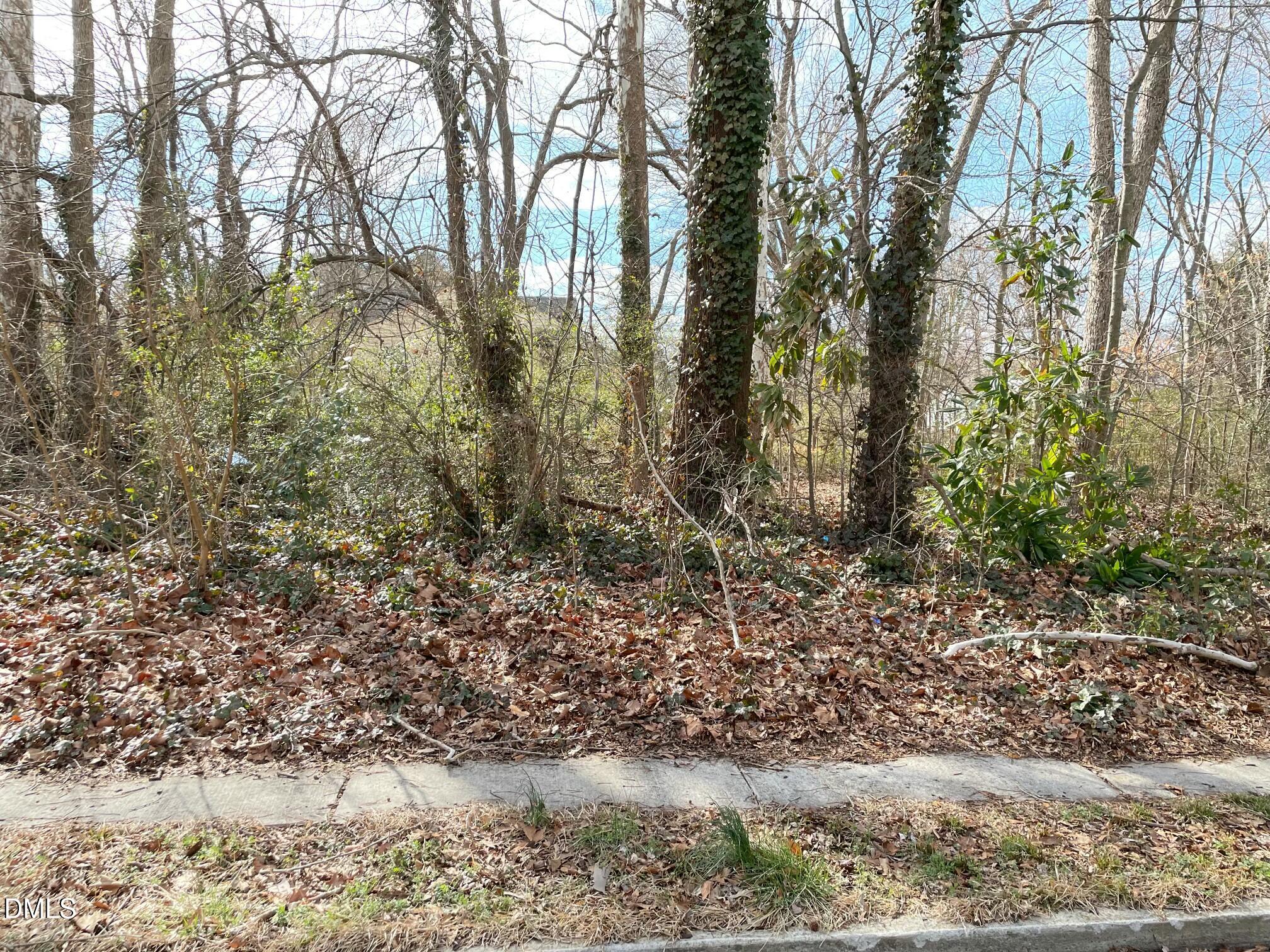375 West Rockspring Street Henderson, NC 27536 - Photo 2 of 5 a view of a yard