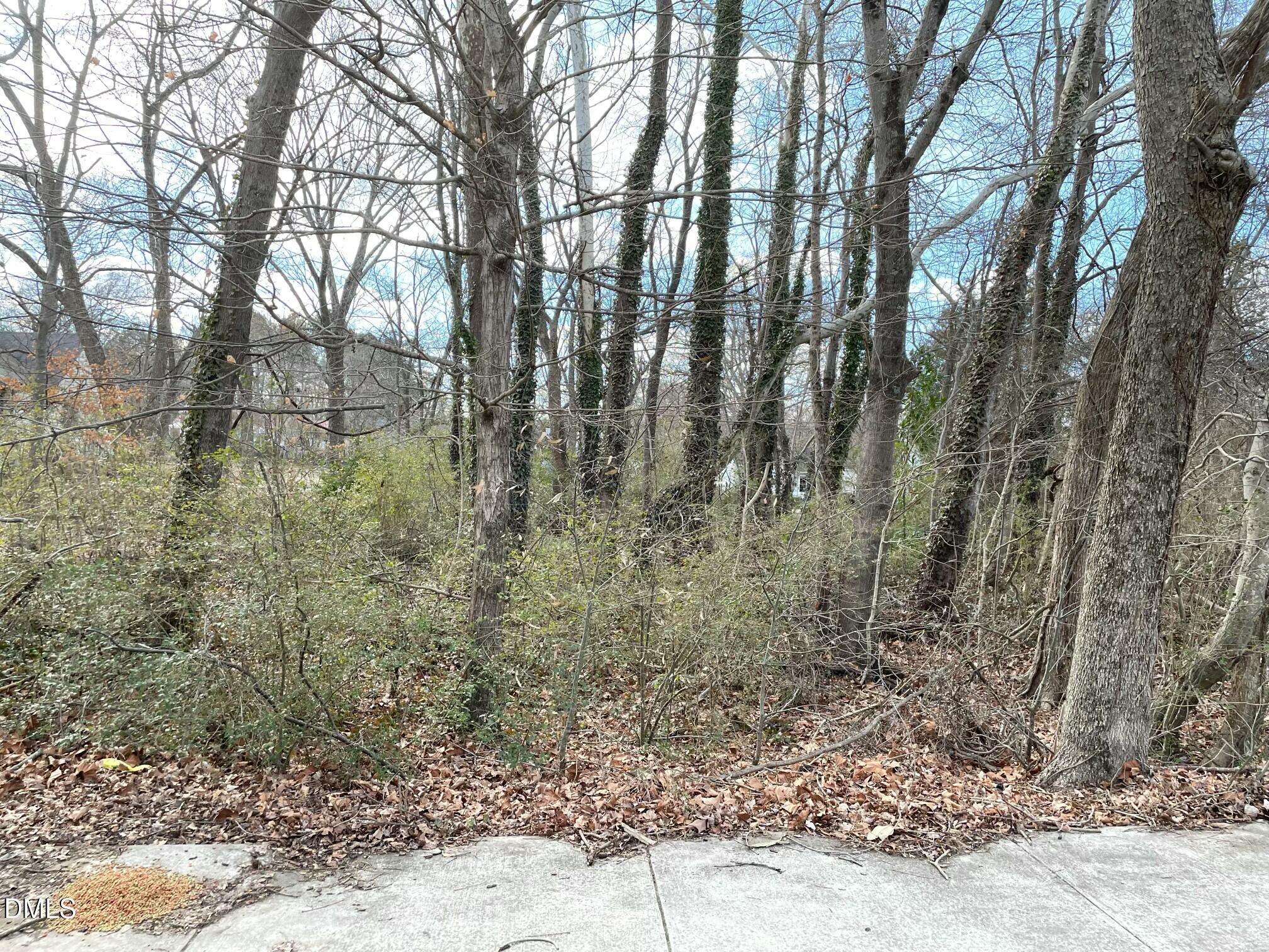 375 West Rockspring Street Henderson, NC 27536 - Photo 4 of 5 a view of a yard