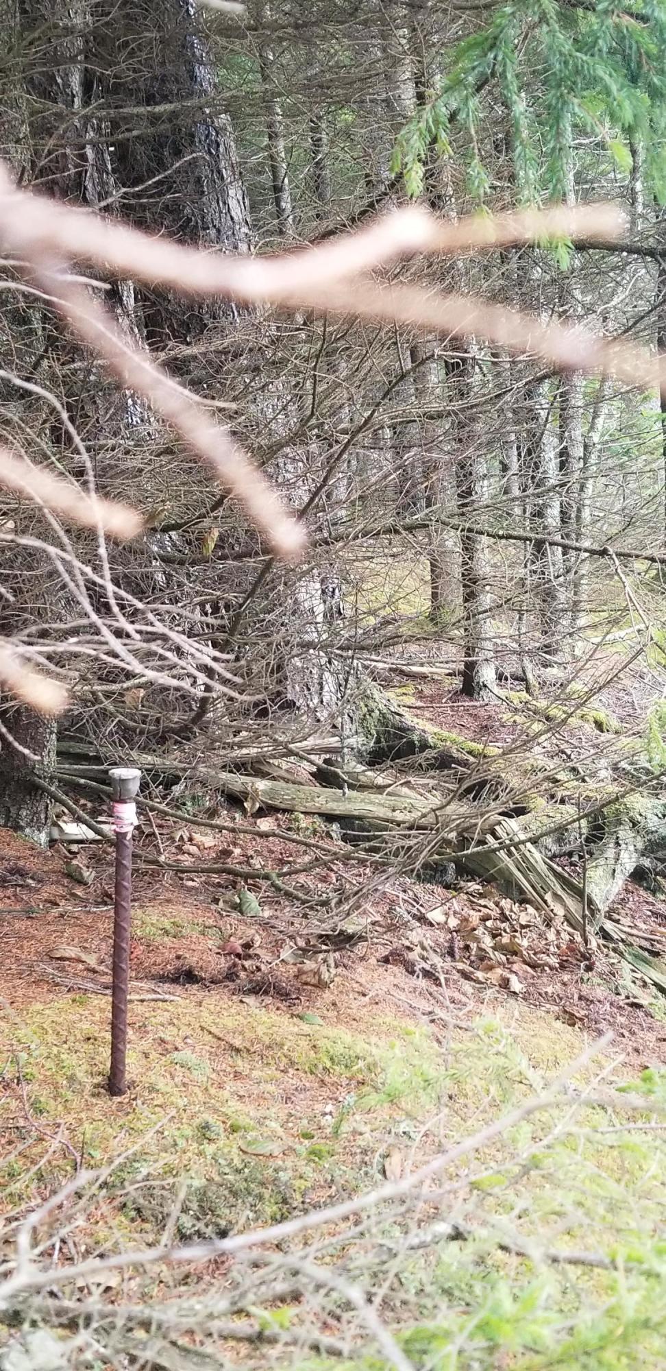 Lot 84 Windward Way Addison, ME 04606 - Photo 24 of 25 20201021_155958