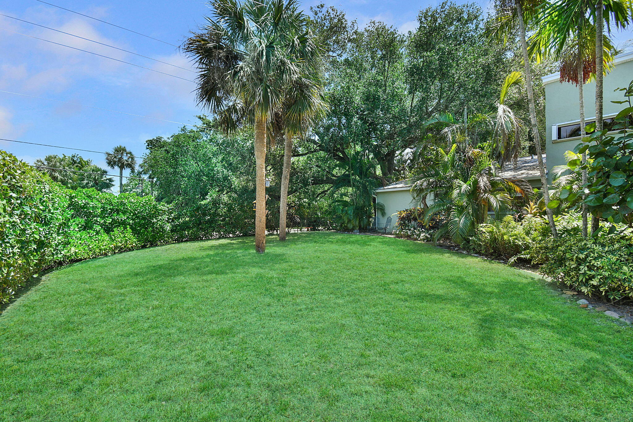 1 Riverview Drive Sewall's Point, FL 34996 - Photo 7 of 70 a view of a backyard with large trees