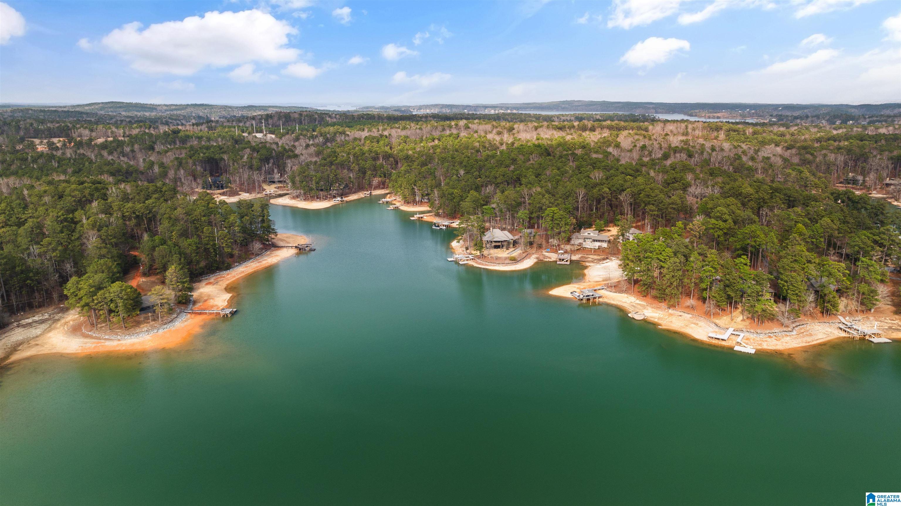 536 Russell Cabin Point Alexander City, AL 35010 - Photo 60 of 63