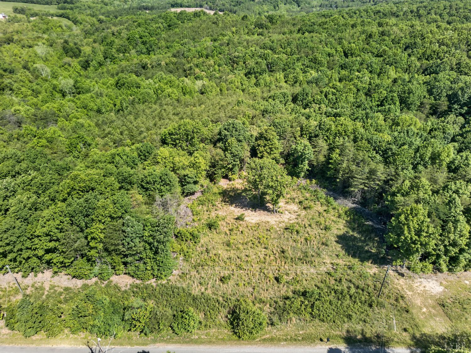 0 Mohawk Road Long Island, VA 24554 - Photo 7 of 23