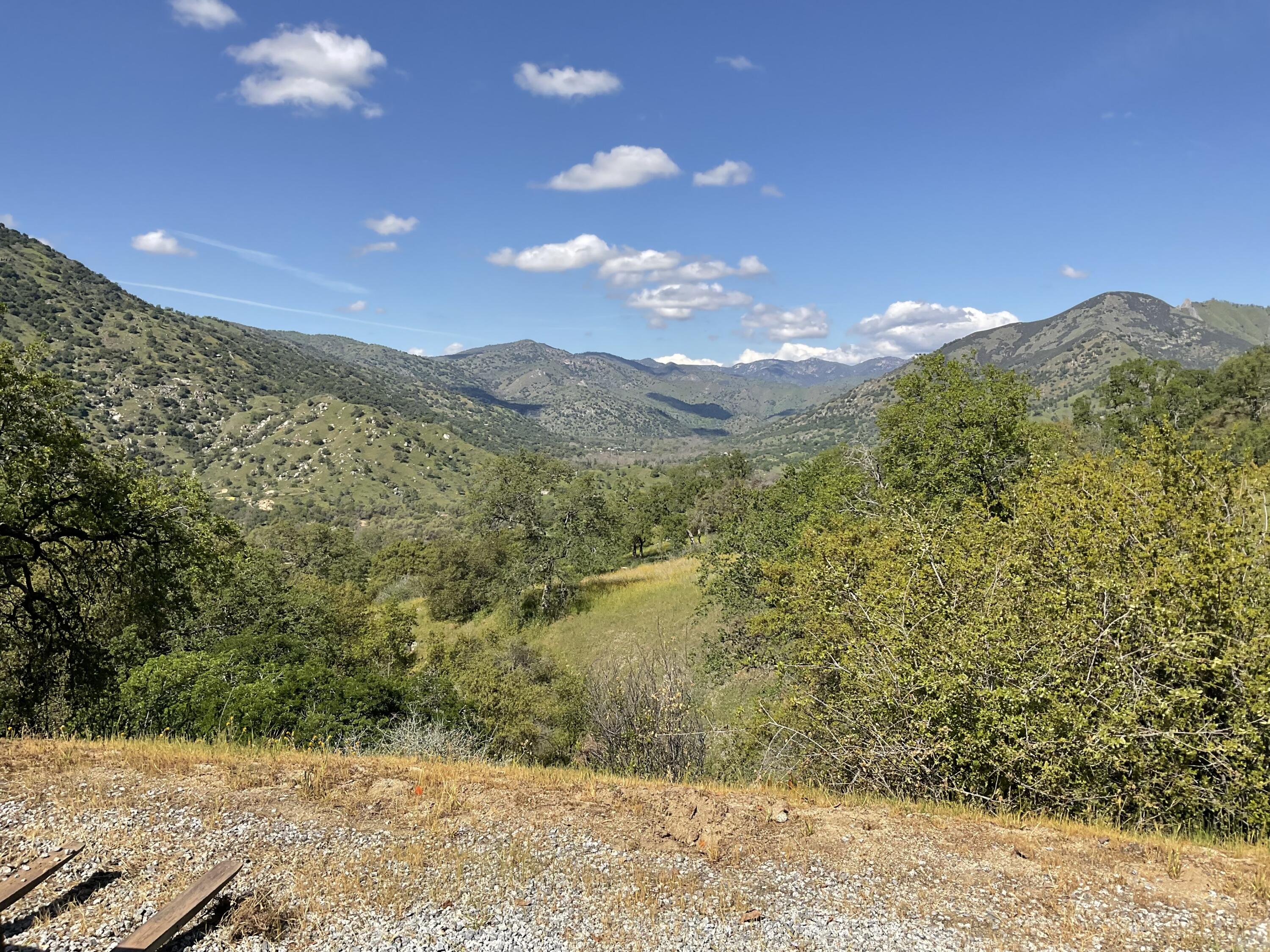 41652 West Mynatt Drive, Unit 2 Three Rivers, CA 93271 - Photo 20 of 41 IMG_1216