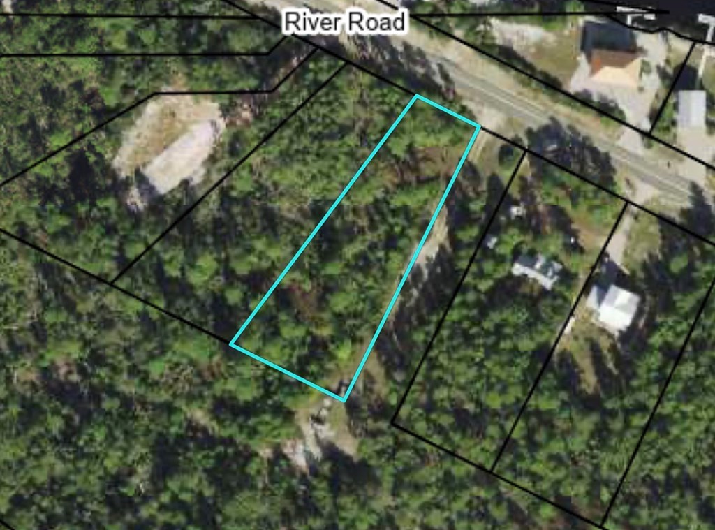 260 River Road Carrabelle, FL 32322 - Photo 11 of 12