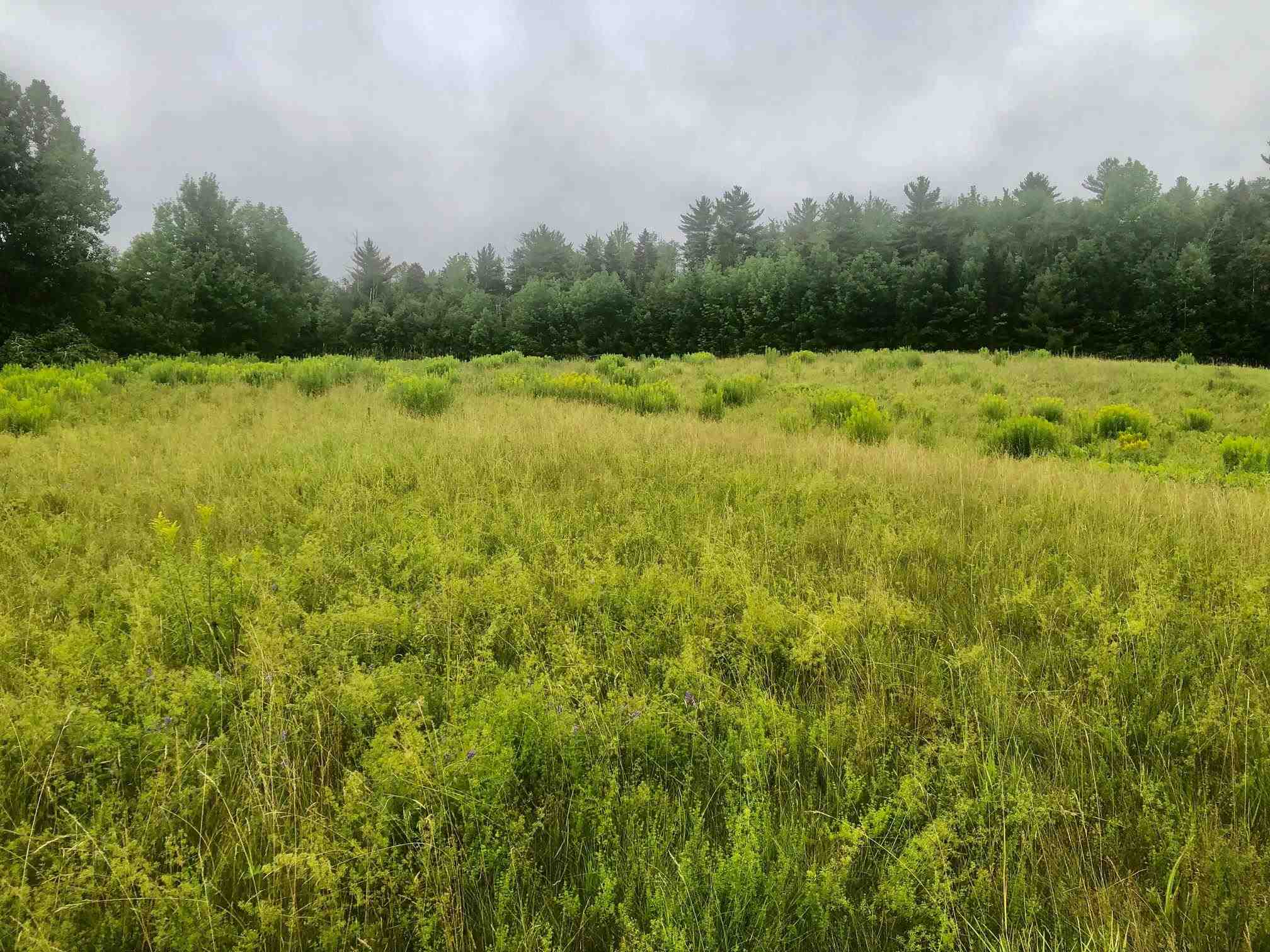 Moody Road, Unit 63 Pike, NH 03780 - Photo 3 of 6