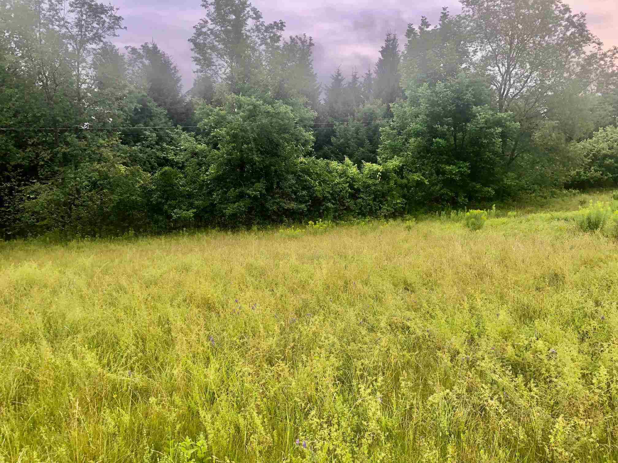 Moody Road, Unit 63 Pike, NH 03780 - Photo 4 of 6